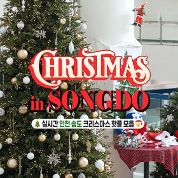 Christmas in Songdo, 실시간 인천 송도 크리스마스 핫플 모음